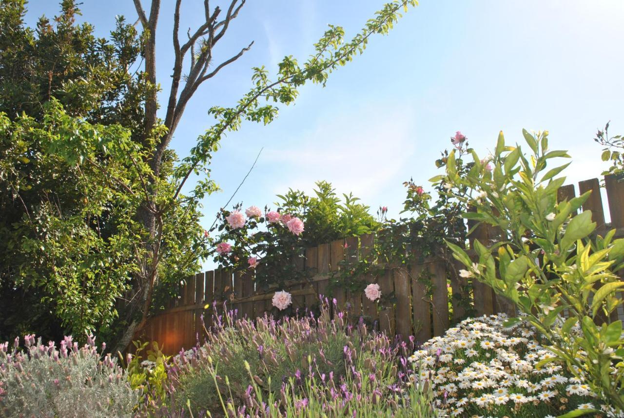 Wai O Taiki Bay B&B Auckland Buitenkant foto