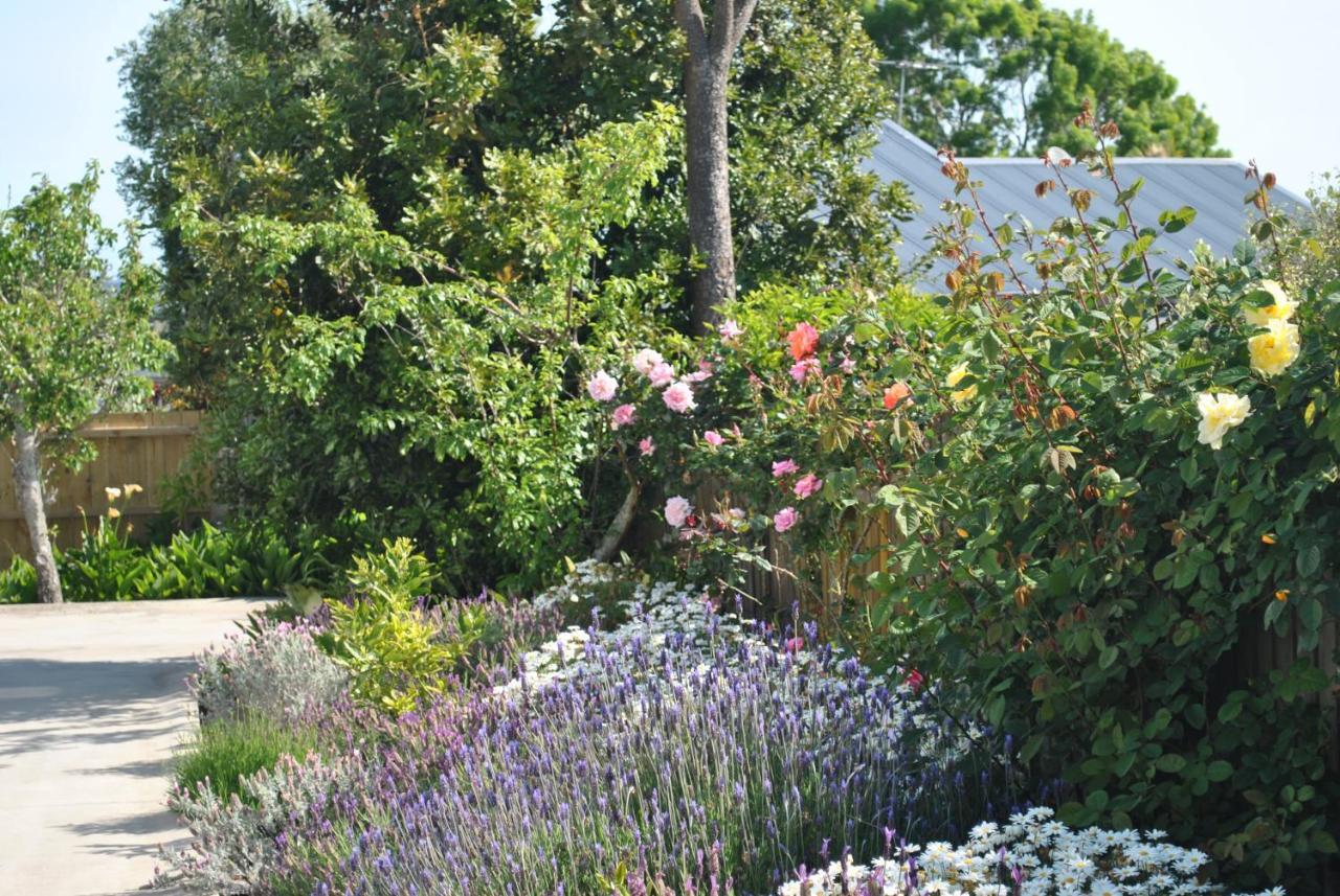 Wai O Taiki Bay B&B Auckland Buitenkant foto